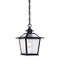 Homeroots 11.75 x 8 x 8 in. Salem 1-Light Matte Black Hanging Light 398031 - alternate 1